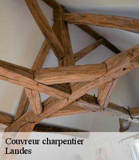 couvreur-charpentier