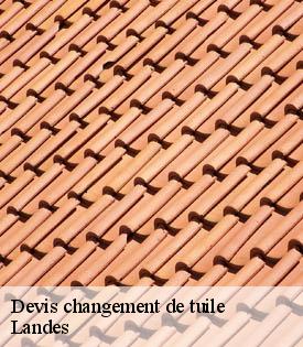 devis-changement-de-tuile