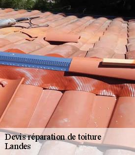 devis-reparation-de-toiture