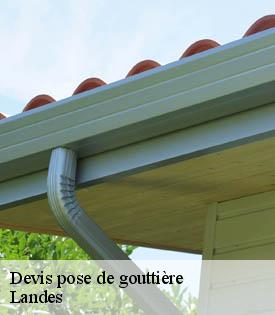 devis-pose-de-gouttiere