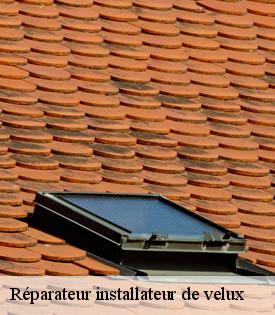 reparateur-installateur-de-velux