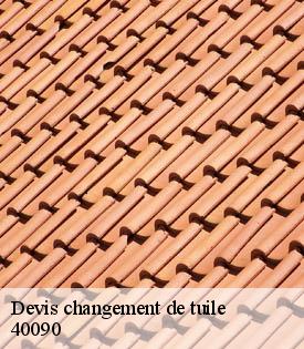 devis-changement-de-tuile