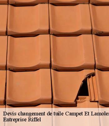 devis-changement-de-tuile