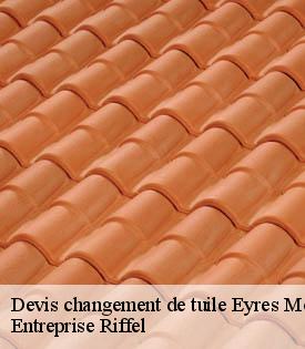 devis-changement-de-tuile