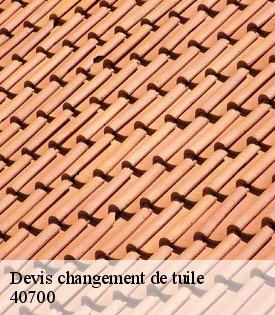 devis-changement-de-tuile