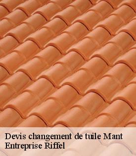 devis-changement-de-tuile