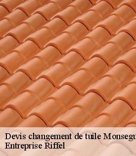 devis-changement-de-tuile