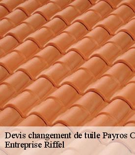 devis-changement-de-tuile