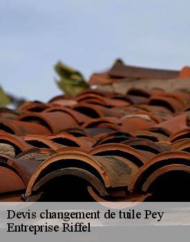 devis-changement-de-tuile