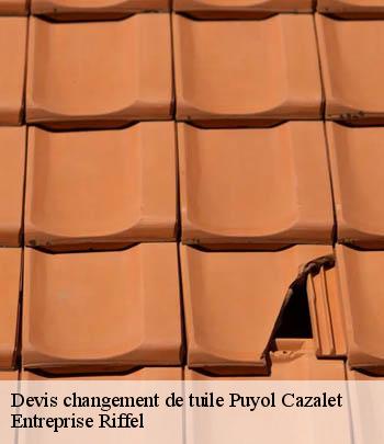 devis-changement-de-tuile