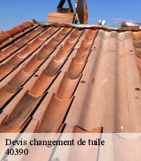 devis-changement-de-tuile