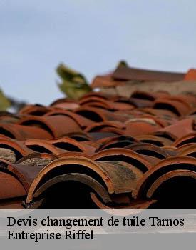 devis-changement-de-tuile