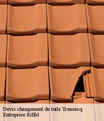 devis-changement-de-tuile