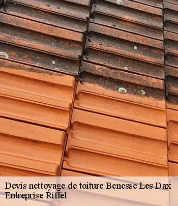 devis-nettoyage-de-toiture