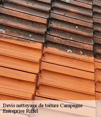 devis-nettoyage-de-toiture