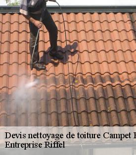 devis-nettoyage-de-toiture