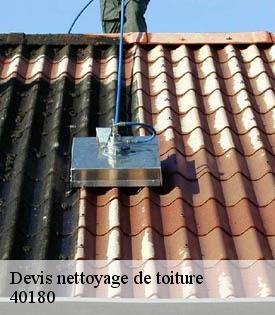 devis-nettoyage-de-toiture