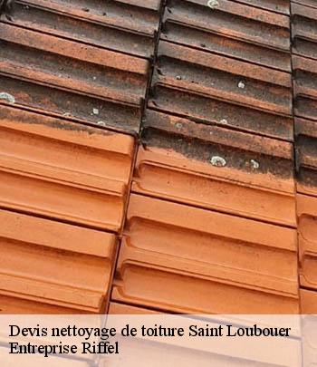 devis-nettoyage-de-toiture