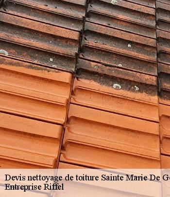 devis-nettoyage-de-toiture