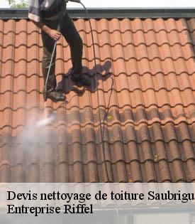 devis-nettoyage-de-toiture