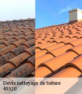 devis-nettoyage-de-toiture