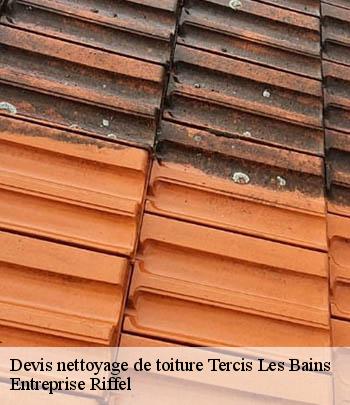 devis-nettoyage-de-toiture