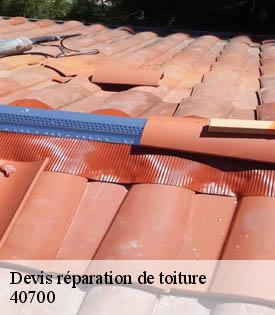 devis-reparation-de-toiture