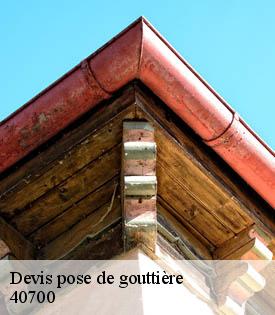 devis-pose-de-gouttiere