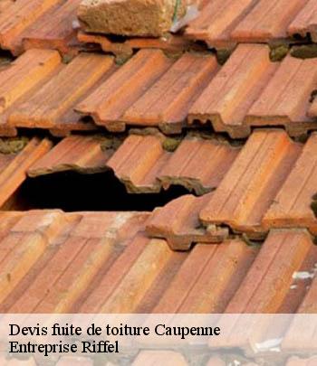 devis-fuite-de-toiture