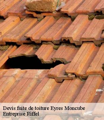 devis-fuite-de-toiture