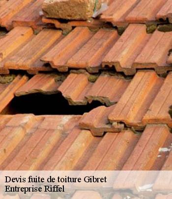 devis-fuite-de-toiture