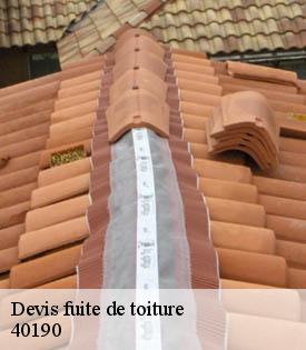 devis-fuite-de-toiture