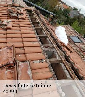 devis-fuite-de-toiture