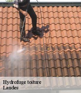 hydrofuge-toiture
