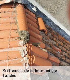 scellement-de-faitiere-faitage