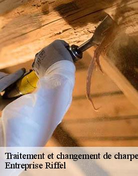 traitement-et-changement-de-charpente