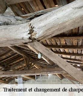 traitement-et-changement-de-charpente