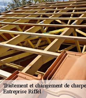 traitement-et-changement-de-charpente