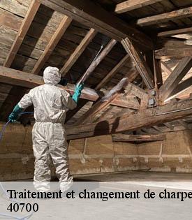 traitement-et-changement-de-charpente