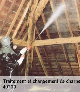 traitement-et-changement-de-charpente