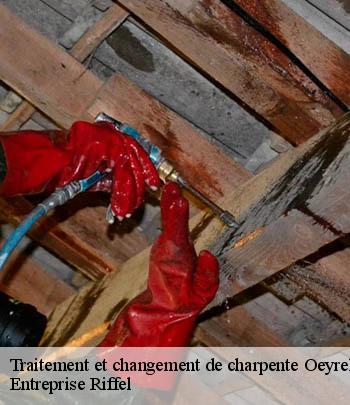 traitement-et-changement-de-charpente