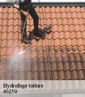 hydrofuge-toiture