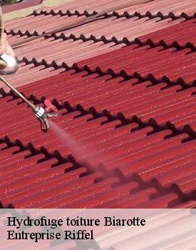 hydrofuge-toiture