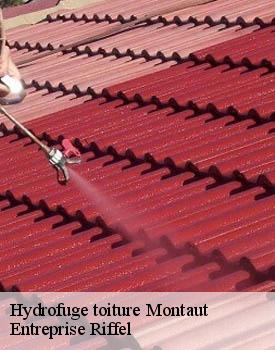 hydrofuge-toiture