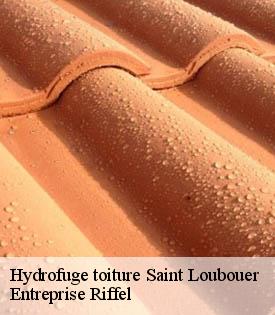 hydrofuge-toiture