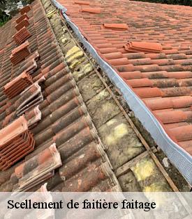 scellement-de-faitiere-faitage