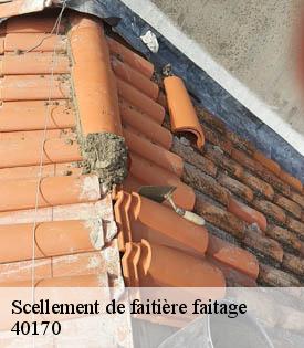 scellement-de-faitiere-faitage