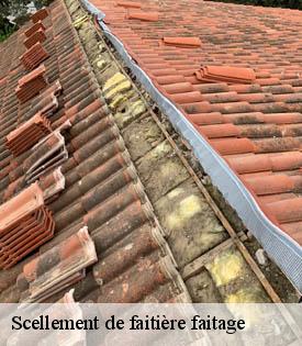 scellement-de-faitiere-faitage