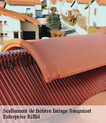 scellement-de-faitiere-faitage