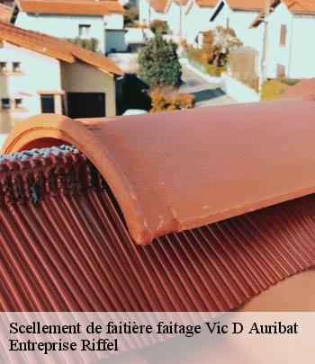 scellement-de-faitiere-faitage